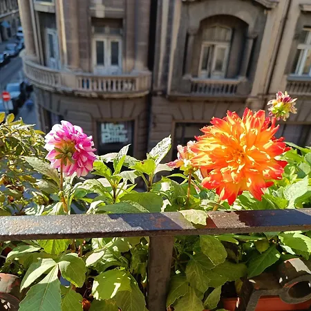 Gracia Aparthotel